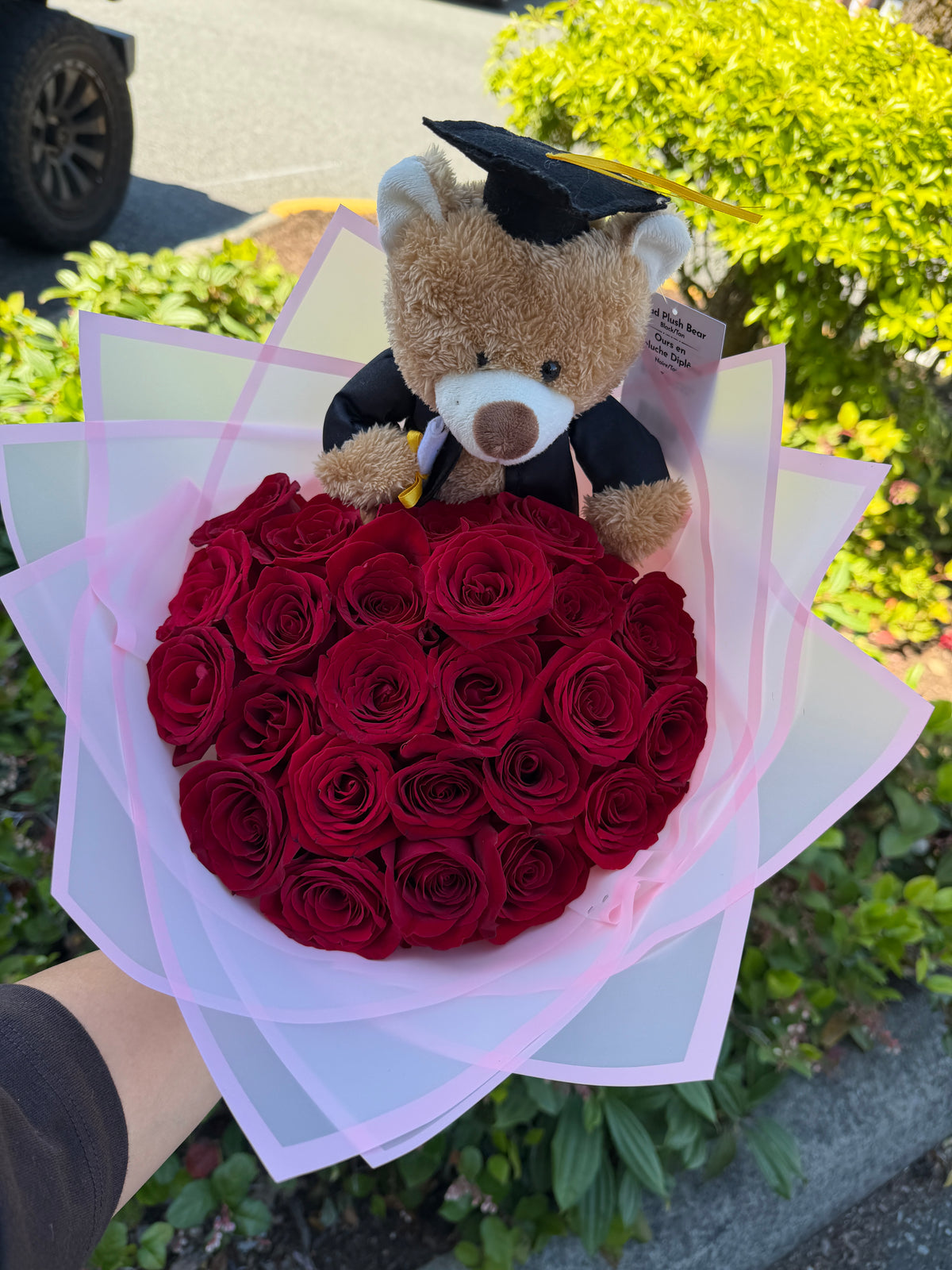 Graduation Bouquet – 24 roses + teddy