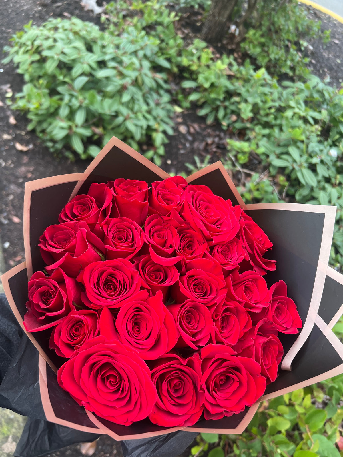 24 Red Roses Bouquet in Surrey | Luxury Rose Gift