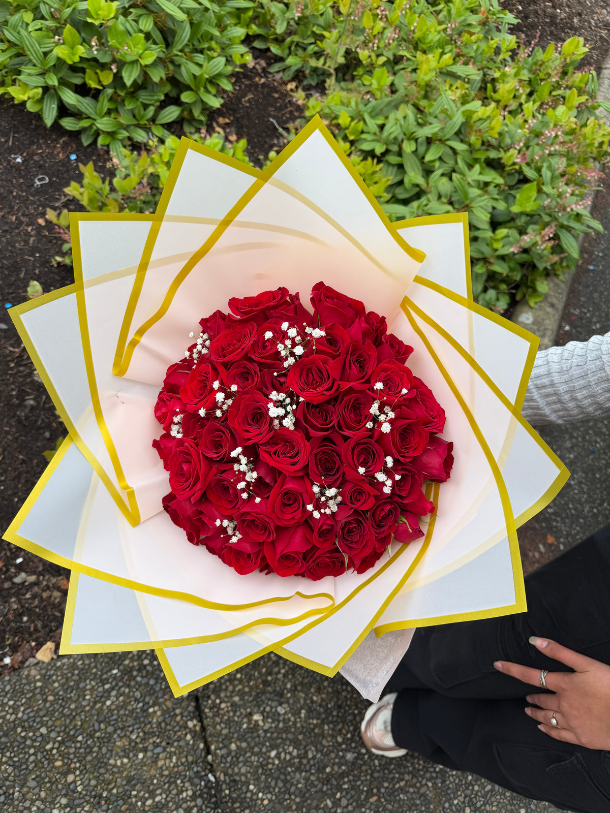 50 Red Roses + Baby’s Breath
